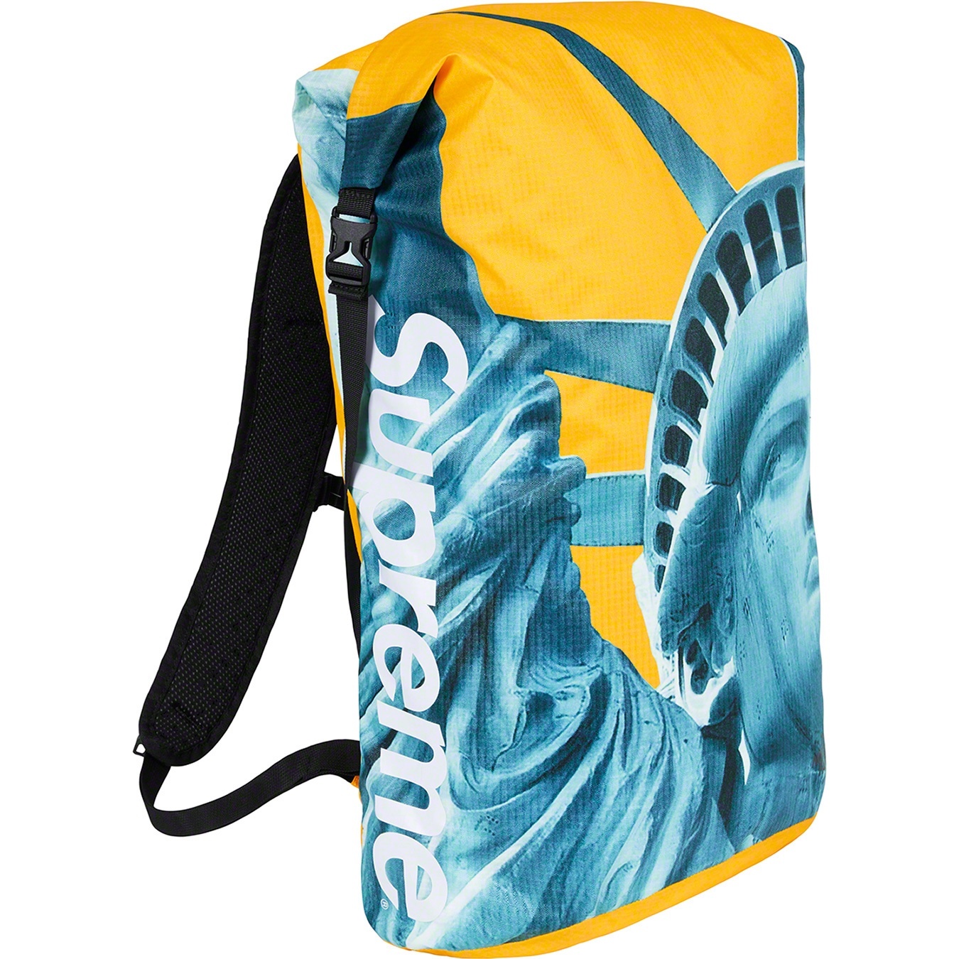 Supreme®/The North Face® Statue of Liberty Waterproof Backpack view 8
